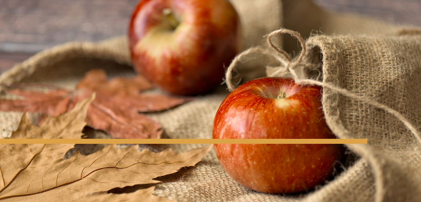 Ease Into Fall post image