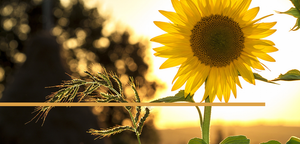Ending Summer Strong post feature image